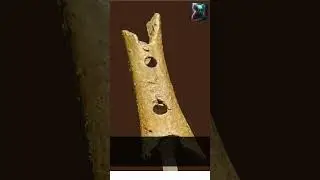 The Ancient Song: The 43,000-Year-Old Vulture Bone Flute
