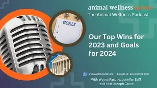Our Top Wins for 2023 and Goals for 2024 | Episode 66