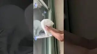 Мы купили гамак для кота!