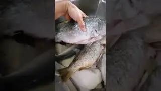 Wash first before put inside the freezer. 
