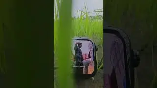 #sidhumoosewala #shorts