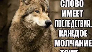 Эти слова....