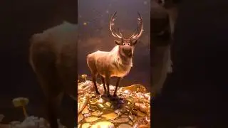 Самая неочевидная отсылка Дисней.