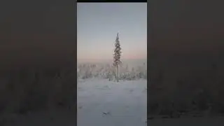 Дорога в Мурманск