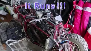 The Free Polaris Starts!
