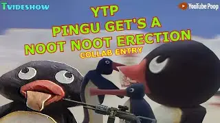 YTP: Pingu Gets a Noot Noot Erection (Collab Entry)