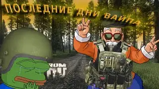 Последние дни вайпа Tarkov