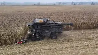 Fendt Ideal 9 | Corn Harvest 14km/h