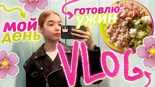 Готовлю себе ПП еду / Посылки с ozon