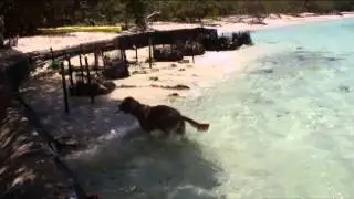 Los roques