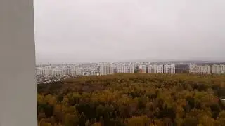 Краснолесье, 24 этаж....