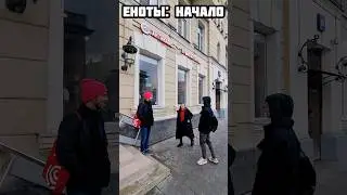 ОСТОРОЖНО: впереди очень много видео про енотов! #антикафе #пушистаябратва