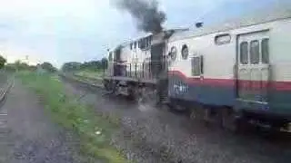 El Marta