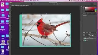 BEGINNER Tour of Photoshop Part 1