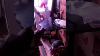 Собака пытается достать баранку со стола