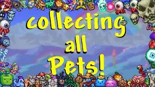Can I collect EVERY pet in one world?  (Terraria 1.4.5)