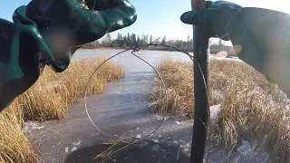 How to Snare Beaver