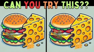 Can You Find | Spot the difference | Puzzle games | Find the difference | #244