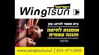 ווינג-צון טבעון ודרום רמת הגולן, המורה: עידו רדא: 054-9712800 התקשרו עכשיו!