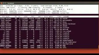 How to use the Linux Command-Line Interface (CLI) 4