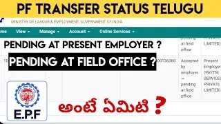 PF Transfer Pending At Present Employer | PF Transfer Accepted By Employer Pending At Field Officer