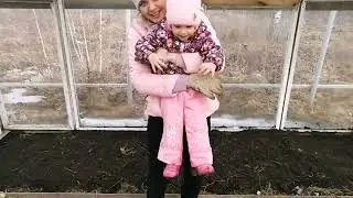 лучшее органическое удобрение для грядок