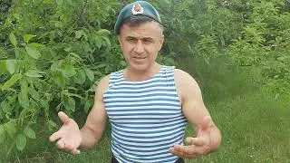 ДЕНЬ  РОЖДЕНИЯ ...ДИКОГО  ДЕСАНТНИКА.