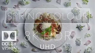 Best 8k HDR UHD Dolby Vision | 'Spring Colour'