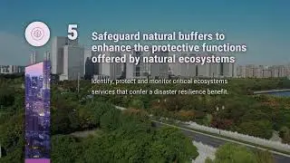 The Ten Essentials for Making Cities Resilient