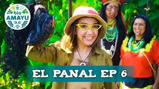 El Despertar Amazónico | Ep 6 - Serie El Panal | BIO AMAYU