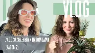 Уход за зелёными питомцами | Часть №2