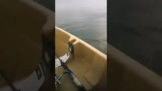 И без перевода все понятно