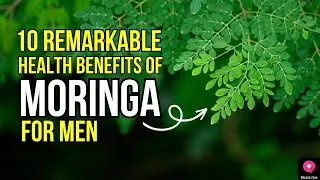 10 Remarkable Health Benefits of Moringa for Men | #moringa | #moringabenefits | Blissed Zone