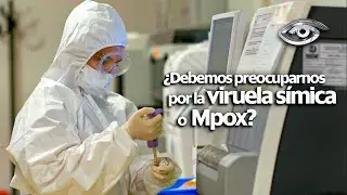 ¿Debemos preocuparnos por la viruela símica o Mpox? - Día a Día - Teleamazonas