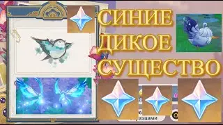 СИНЕЕ ДИКОЕ СУЩЕСТВО ВСЁ В ОДНОЙ ТОЧКЕ ГАЙД 【Genshin Impact】【Геншин Импакт】