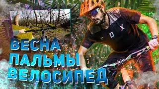 Горный велосипед, велопокатушки по лесу весной. Каменистый трейл в Сочи.