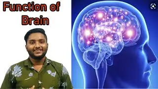 Function of Brain .