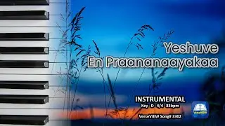Yeshuve En Praananaayakaa | Instrumental | Chords