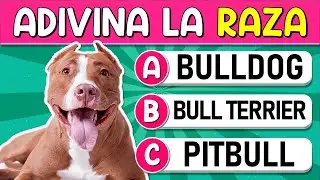 Adivina la 