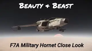Beauty and Beast I Anvil F7A Military Hornet Close Look I Star Citizen Ships I 4k