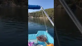 Ölüdenizde akya avı