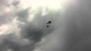 Sioux Falls airshow heritage flight flyover F22 P38