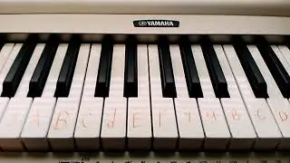 How to play Ievan Polka on the piano (easy!)
