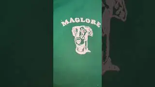 Modelos novos de camisetas disponíveis nos shows 💖 
