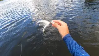 PEGAMOS MAIS DE 40 PEIXES NESSA PESCARIA, SEM CONTAR A RESENHA. 🎣