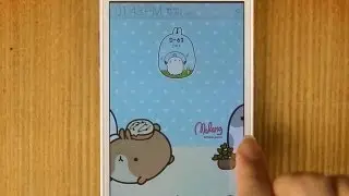 Molang D-day Widget Review