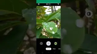 Gcam Infinix Support 32 Bit | Apk Viral