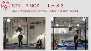 Male Level 2 Rings