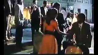 Izvinite sto vas ovako presrecem na ulici - Lajanje na zvezde