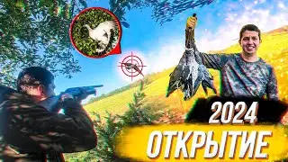 Охота на Вяхиря с чучелами 2024. Открытие Охоты! ВСЕ ПРО ВЯХИРЯ! Тренировка Гусиной Охоты.